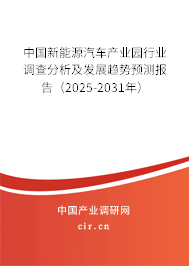 中國(guó)新能源汽車產(chǎn)業(yè)園行業(yè)調(diào)查分析及發(fā)展趨勢(shì)預(yù)測(cè)報(bào)告（2025-2031年）