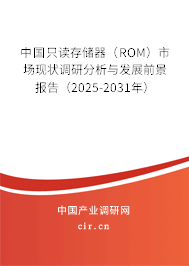 中國只讀存儲器（ROM）市場現狀調研分析與發展前景報告（2025-2031年）