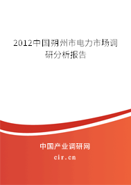 2012中國朔州市電力市場調研分析報告