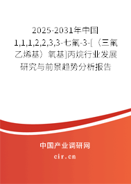 2025-2031年中國1,1,1,2,2,3,3-七氟-3-[（三氟乙烯基）氧基]丙烷行業發展研究與前景趨勢分析報告