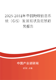 2025-2031年中國地理信息系統（GIS）發展現狀及前景趨勢報告