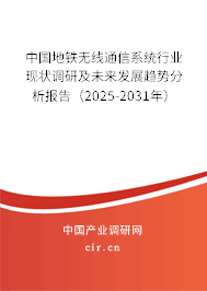 中國地鐵無線通信系統(tǒng)行業(yè)現(xiàn)狀調研及未來發(fā)展趨勢分析報告（2025-2031年）