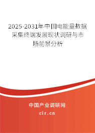 2025-2031年中國電能量數(shù)據(jù)采集終端發(fā)展現(xiàn)狀調(diào)研與市場前景分析