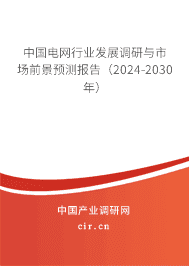 中國電網行業發展調研與市場前景預測報告（2024-2030年）