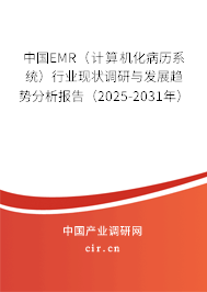 中國EMR（計算機化病歷系統）行業現狀調研與發展趨勢分析報告（2025-2031年）
