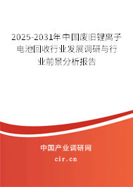 2025-2031年中國廢舊鋰離子電池回收行業發展調研與行業前景分析報告