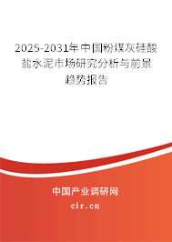 2025-2031年中國(guó)粉煤灰硅酸鹽水泥市場(chǎng)研究分析與前景趨勢(shì)報(bào)告