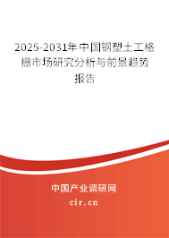 2025-2031年中國(guó)鋼塑土工格柵市場(chǎng)研究分析與前景趨勢(shì)報(bào)告
