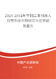 2024-2030年中國(guó)工業(yè)機(jī)器人視覺系統(tǒng)市場(chǎng)研究與前景趨勢(shì)報(bào)告