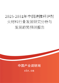 2025-2031年中國進推桿爐耐火材料行業發展研究分析與發展趨勢預測報告