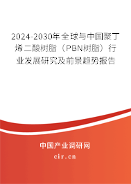 2024-2030年全球與中國聚丁烯二酸樹脂（PBN樹脂）行業發展研究及前景趨勢報告