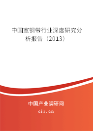 中國寬鋼帶行業(yè)深度研究分析報告（2013）