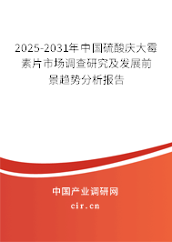 2025-2031年中國硫酸慶大霉素片市場調查研究及發展前景趨勢分析報告