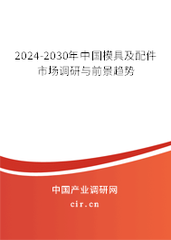 2024-2030年中國模具及配件市場調研與前景趨勢