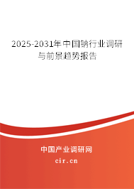 2025-2031年中國(guó)鈉行業(yè)調(diào)研與前景趨勢(shì)報(bào)告