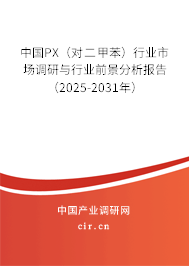中國PX（對二甲苯）行業(yè)市場調(diào)研與行業(yè)前景分析報告（2025-2031年）
