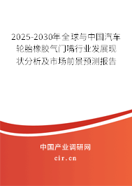 2025-2030年全球與中國汽車輪胎橡膠氣門嘴行業發展現狀分析及市場前景預測報告