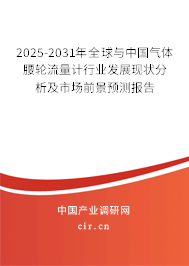 2025-2031年全球與中國氣體腰輪流量計行業(yè)發(fā)展現(xiàn)狀分析及市場前景預測報告