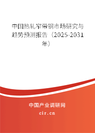 中國熱軋窄帶鋼市場研究與趨勢預測報告（2025-2031年）