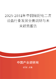 2025-2031年中國輸配電二次設備行業發展全面調研與未來趨勢報告