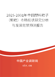 2025-2031年中國塑料粒子（顆粒）市場現狀研究分析與發展前景預測報告