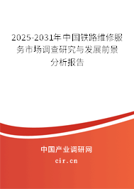 2025-2031年中國鐵路維修服務市場調查研究與發展前景分析報告