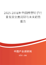 2025-2031年中國橡塑輪子行業發展全面調研與未來趨勢報告