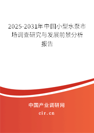 2025-2031年中國小型水泵市場調查研究與發展前景分析報告