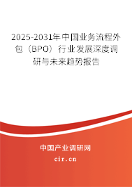 2025-2031年中國業務流程外包（BPO）行業發展深度調研與未來趨勢報告