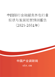 中國銀行金融服務(wù)外包行業(yè)現(xiàn)狀與發(fā)展前景預(yù)測報(bào)告（2025-2031年）