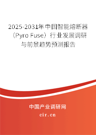 2025-2031年中國智能熔斷器（Pyro Fuse）行業發展調研與前景趨勢預測報告