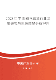 2023年中國輸氣管道行業(yè)深度研究與市場前景分析報告