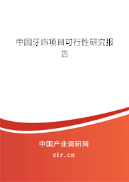 中國牙飾項(xiàng)目可行性研究報(bào)告
