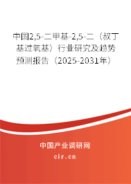中國2,5-二甲基-2,5-二（叔丁基過氧基）行業研究及趨勢預測報告（2025-2031年）