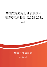 中國敞篷超跑行業發展調研與趨勢預測報告（2025-2031年）