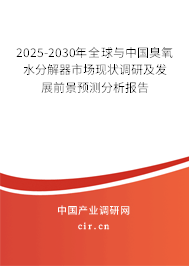 2025-2030年全球與中國臭氧水分解器市場現狀調研及發展前景預測分析報告