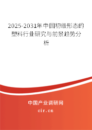 2025-2031年中國初級形態的塑料行業研究與前景趨勢分析
