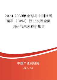 2024-2030年全球與中國袋閥面罩（BVM）行業發展全面調研與未來趨勢報告