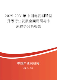 2025-2031年中國電視劇轉型升級行業發展全面調研與未來趨勢分析報告