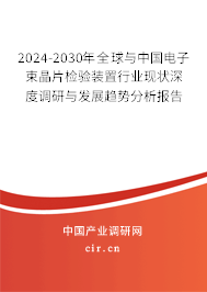 2024-2030年全球與中國電子束晶片檢驗裝置行業現狀深度調研與發展趨勢分析報告