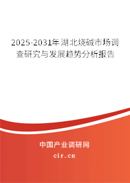 2025-2031年湖北燒堿市場調查研究與發展趨勢分析報告