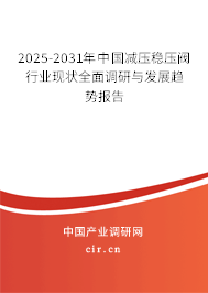 2025-2031年中國減壓穩壓閥行業現狀全面調研與發展趨勢報告