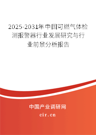 2025-2031年中國可燃氣體檢測報警器行業發展研究與行業前景分析報告