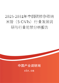 2025-2031年中國硫摻雜碳納米管（S-CNTs）行業(yè)發(fā)展調(diào)研與行業(yè)前景分析報告