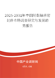 2025-2031年中國輪轂軸承密封件市場調查研究與發展趨勢報告