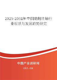 2025-2031年中國磨削主軸行業現狀與發展趨勢研究