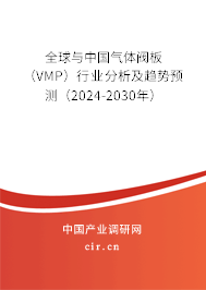 全球與中國氣體閥板（VMP）行業分析及趨勢預測（2024-2030年）