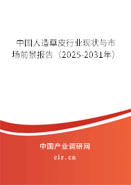 中國人造草皮行業現狀與市場前景報告（2025-2031年）