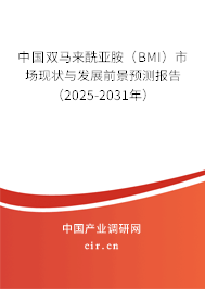 中國(guó)雙馬來(lái)酰亞胺（BMI）市場(chǎng)現(xiàn)狀與發(fā)展前景預(yù)測(cè)報(bào)告（2025-2031年）