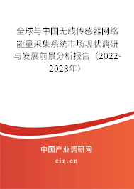 全球與中國無線傳感器網(wǎng)絡(luò)能量采集系統(tǒng)市場現(xiàn)狀調(diào)研與發(fā)展前景分析報告（2022-2028年）